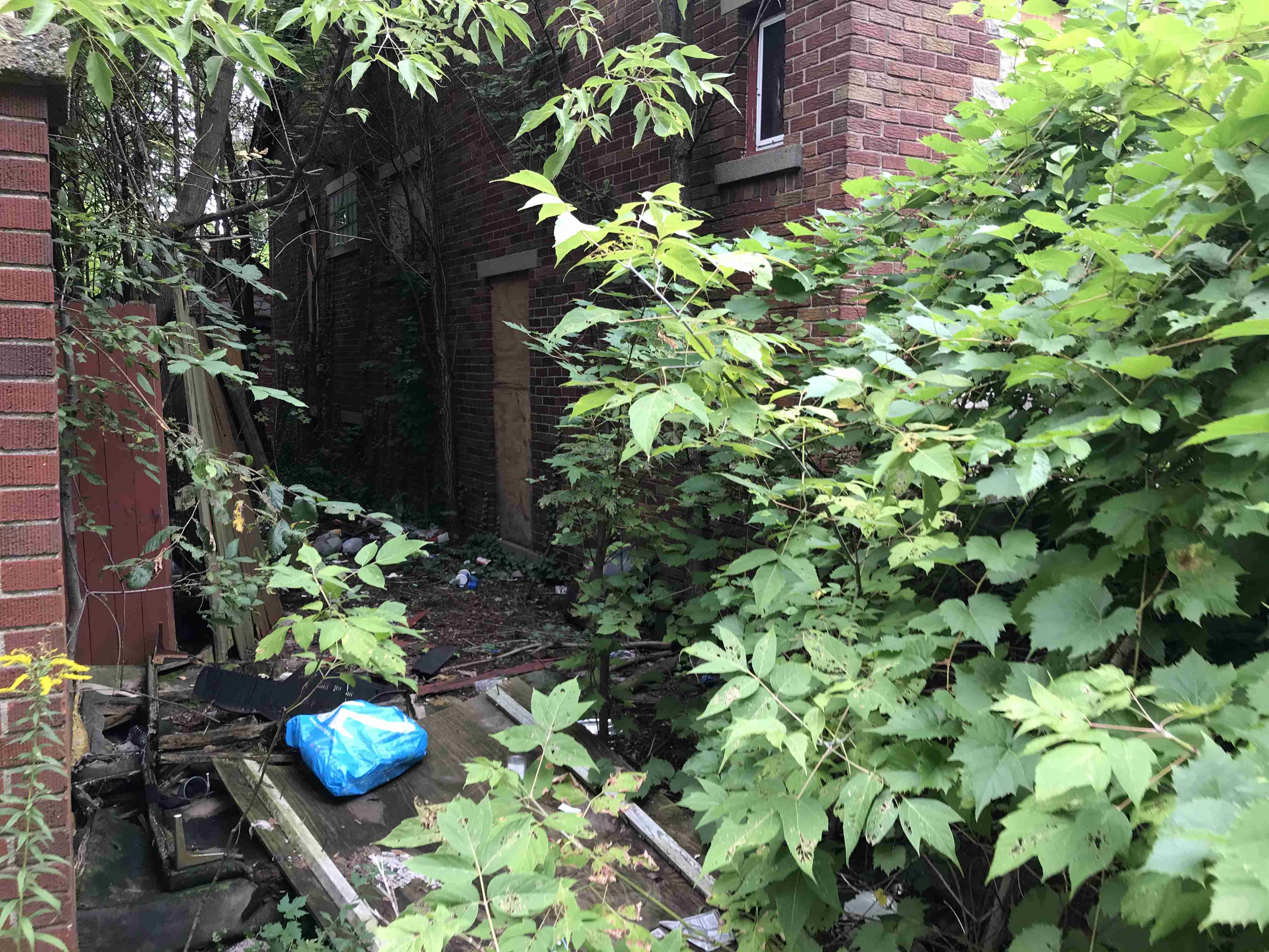 Photo Sep 10, 2 05 56 PM.jpg